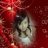 nhaca_pretty