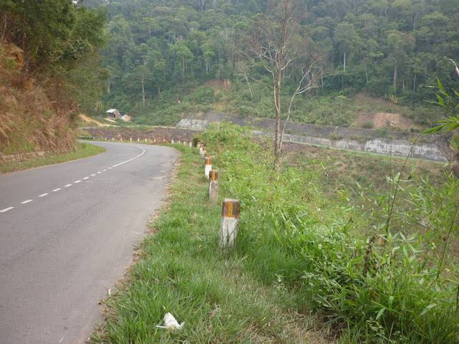 P1070485.jpg