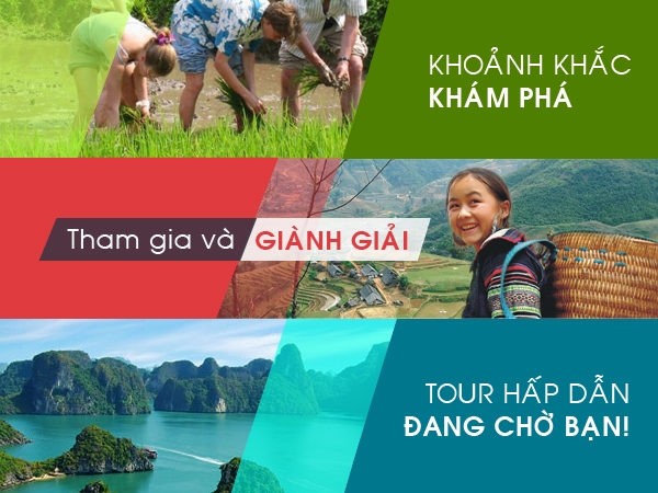 BANNER%20650X4002.JPG