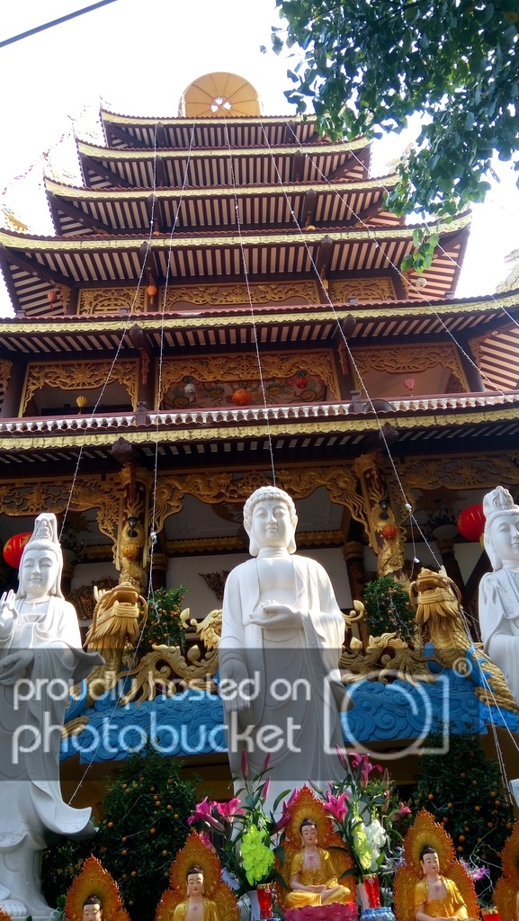 DSC_0201_zpspm8pstfs.jpg