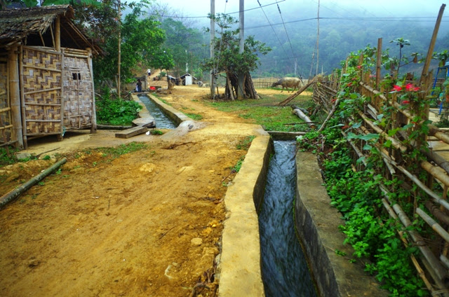 IMGP2236.JPG