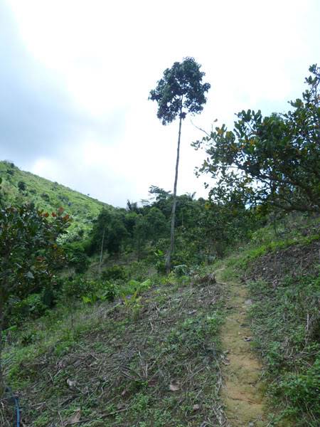P1020424.jpg