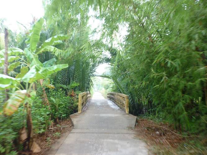 P1330754.jpg