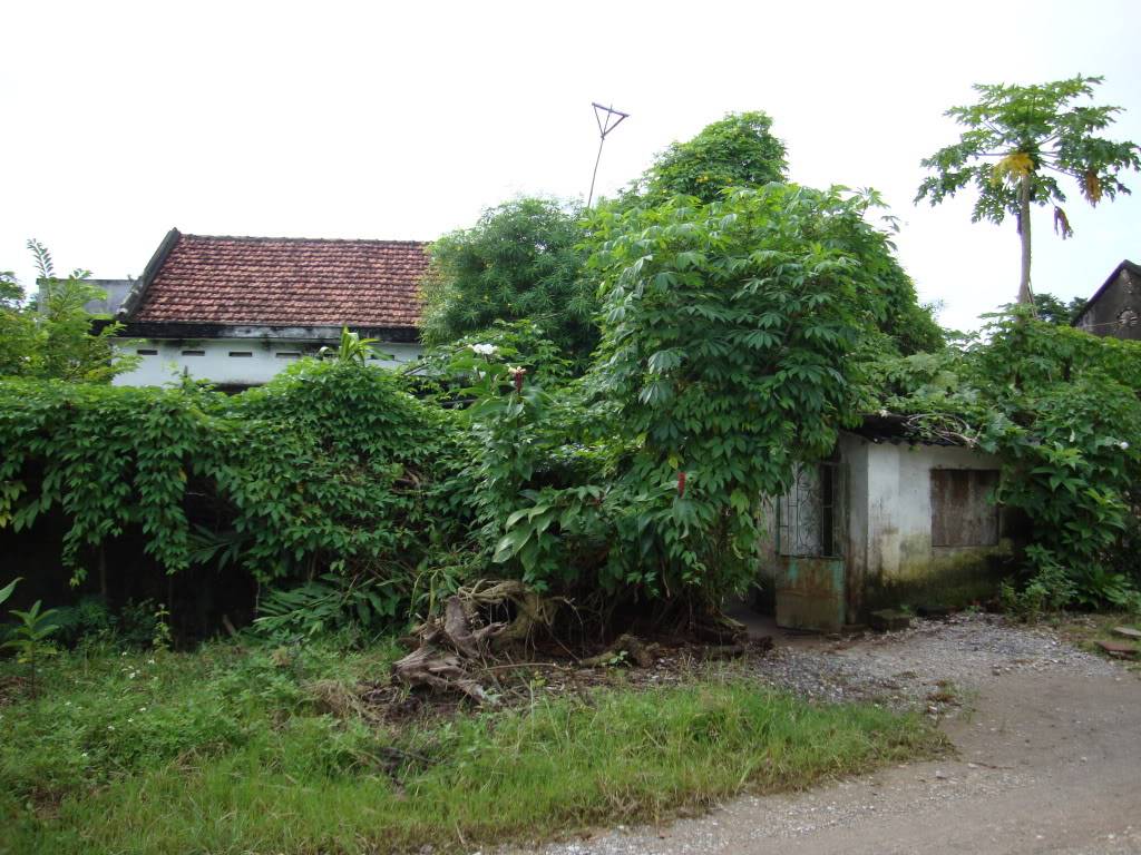 DSC00819.jpg