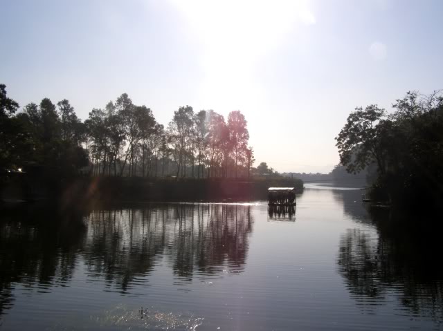 PB110011.jpg