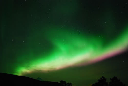 2172748515_76c962ab01.jpg