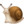1651742621-sgl.png