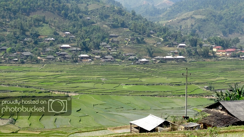 DSC09358_zps0a0bce46.jpg
