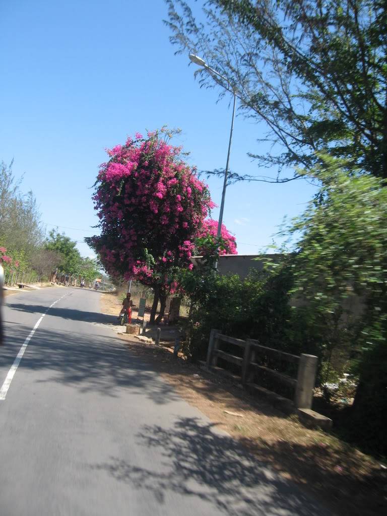 IMG_2891.jpg