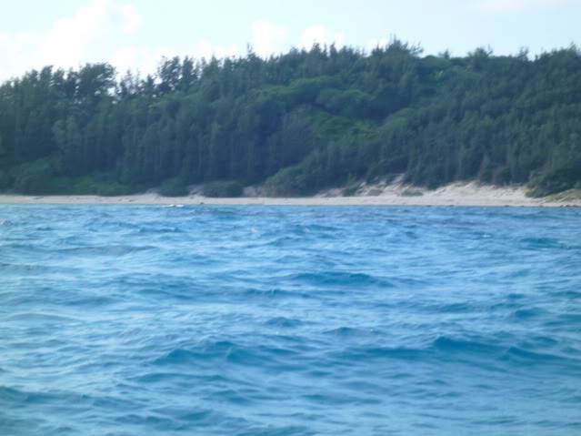 P1040602_resize.jpg