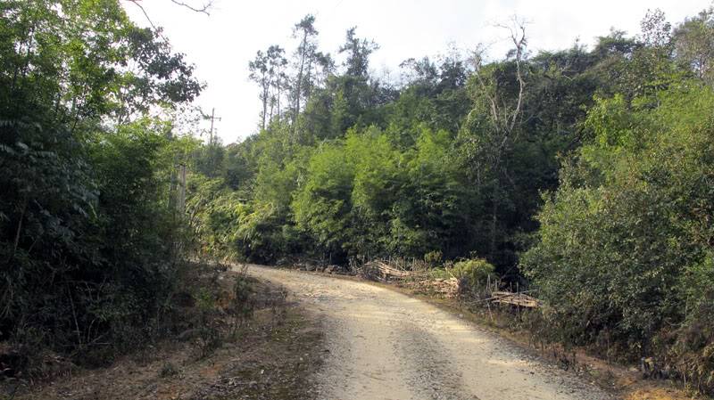 HongNgai2011226.jpg
