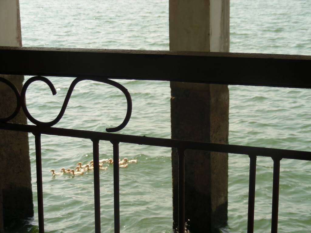 DSCN3309.jpg