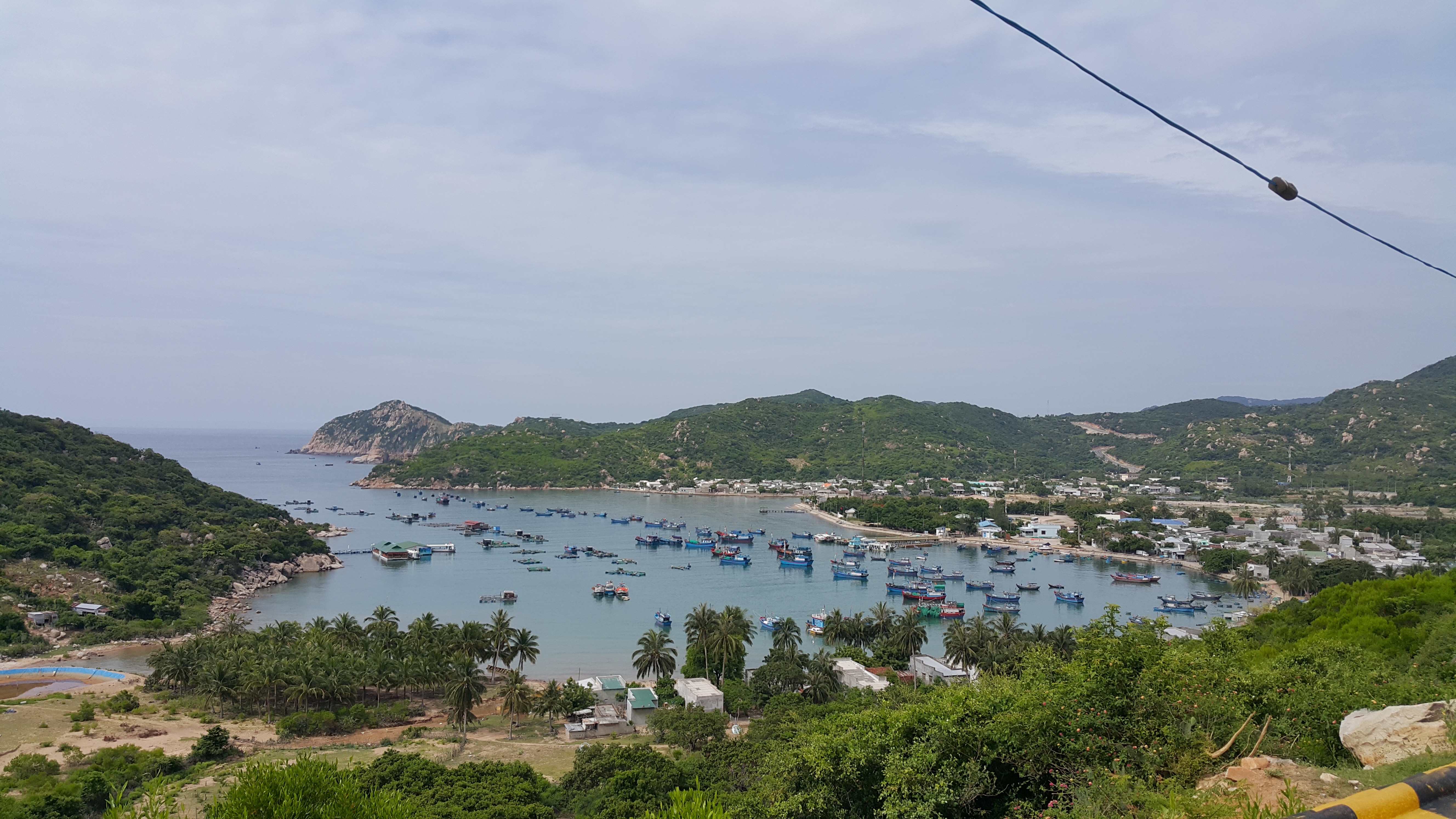 20170622_090529.jpg
