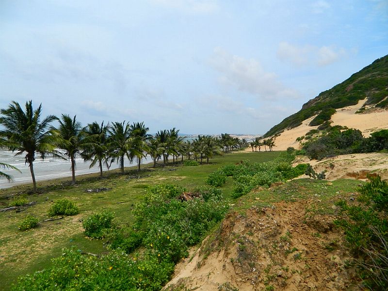 DSCN2170.jpg