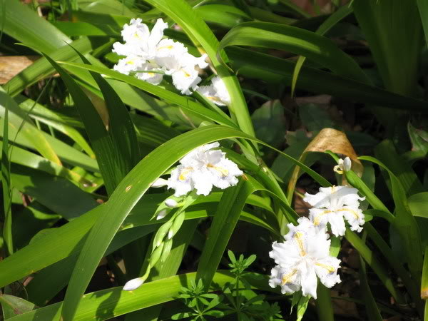 IMG_2362_resize.jpg