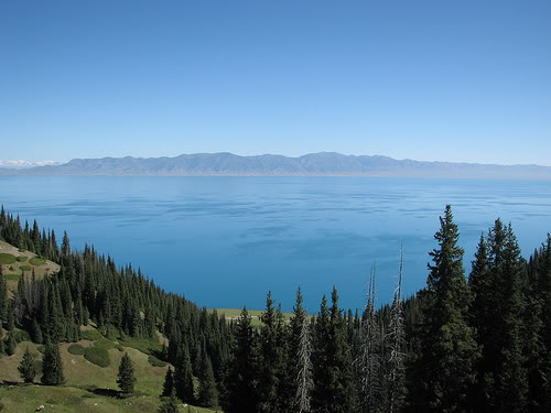 2185031909_278e4485d11.jpg