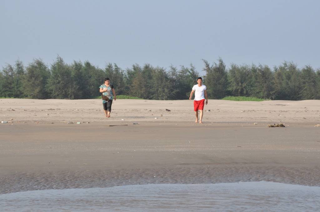 DSC_0084.jpg
