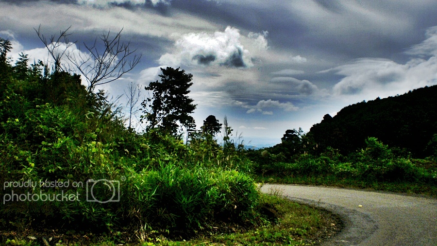 P1010165_zps21a0ac01.jpg