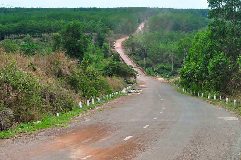 75.jpg