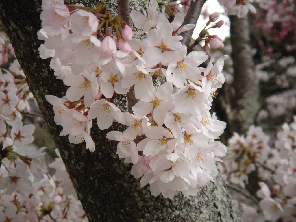 Mybrithdaytrip022.jpg