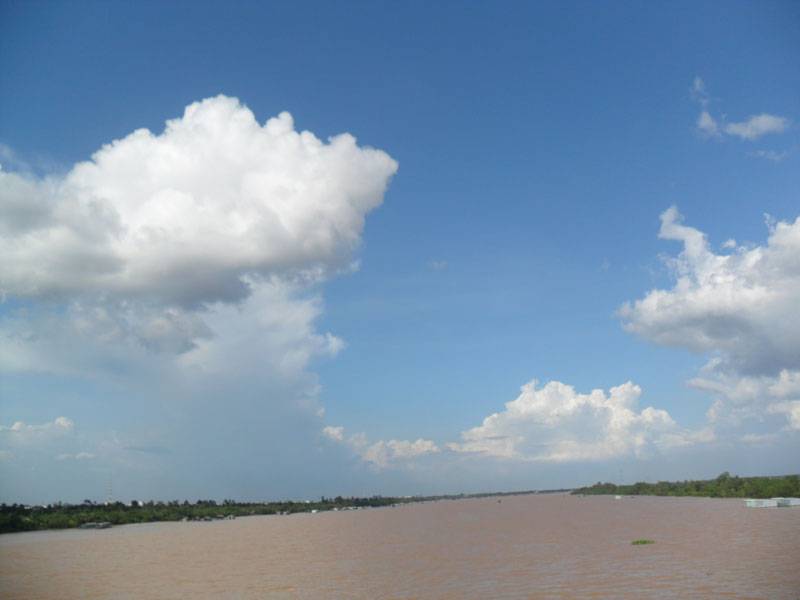 SAM_0447.jpg