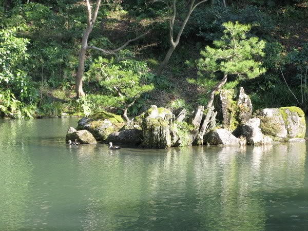 IMG_1812_resize.jpg
