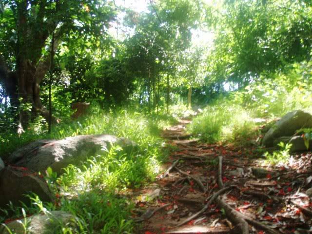 P1010225.jpg