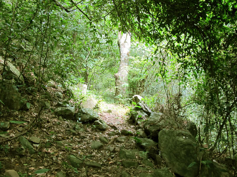TayYenTu1010602.jpg