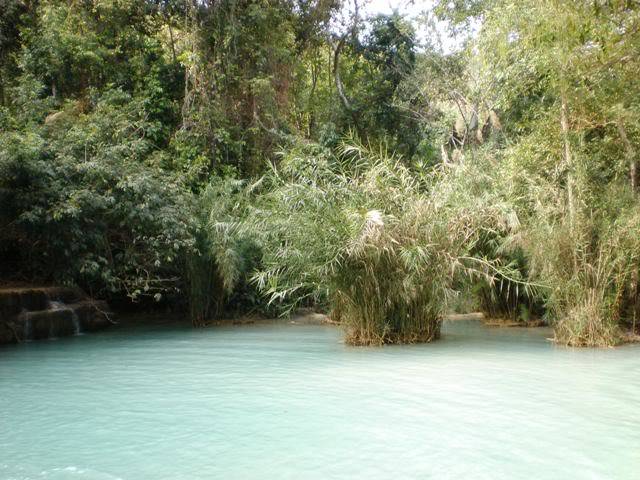 P2050643.jpg
