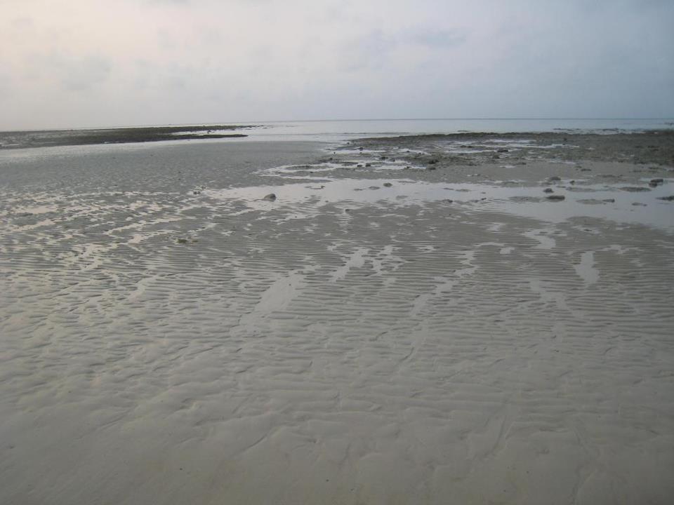 117_zps8632de14.jpg