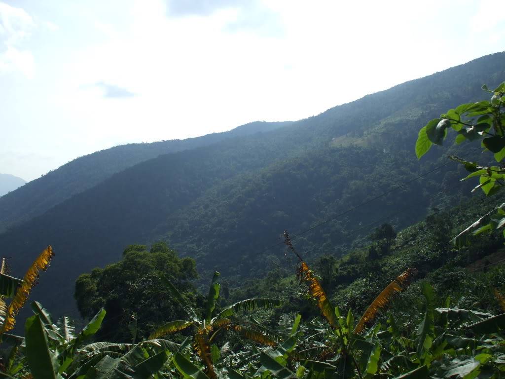 DSCF42051.jpg