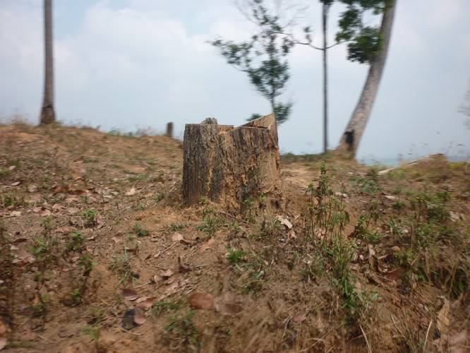 P1050894.jpg