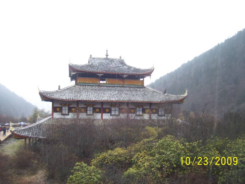 hoanglong100.jpg