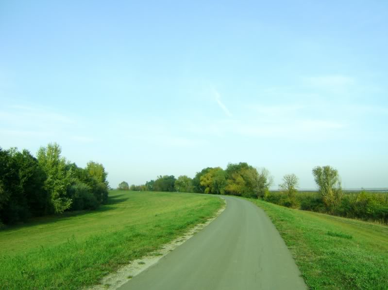DSC06610.jpg