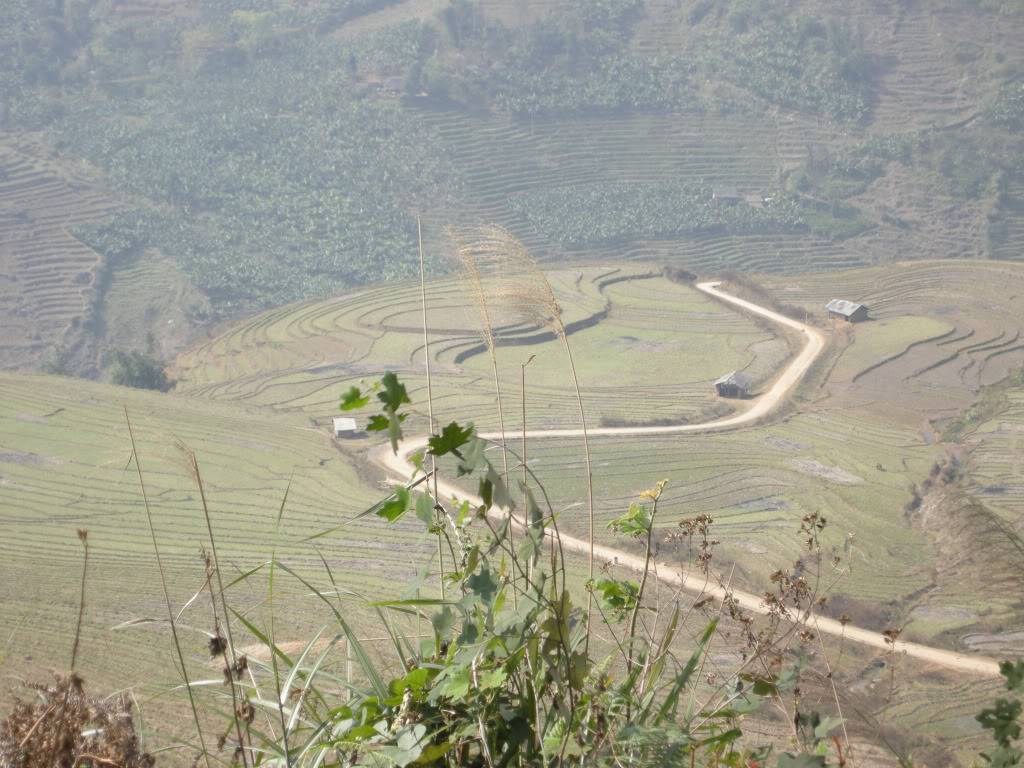 DSCN0371.jpg