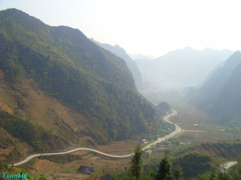 SDC16396.jpg