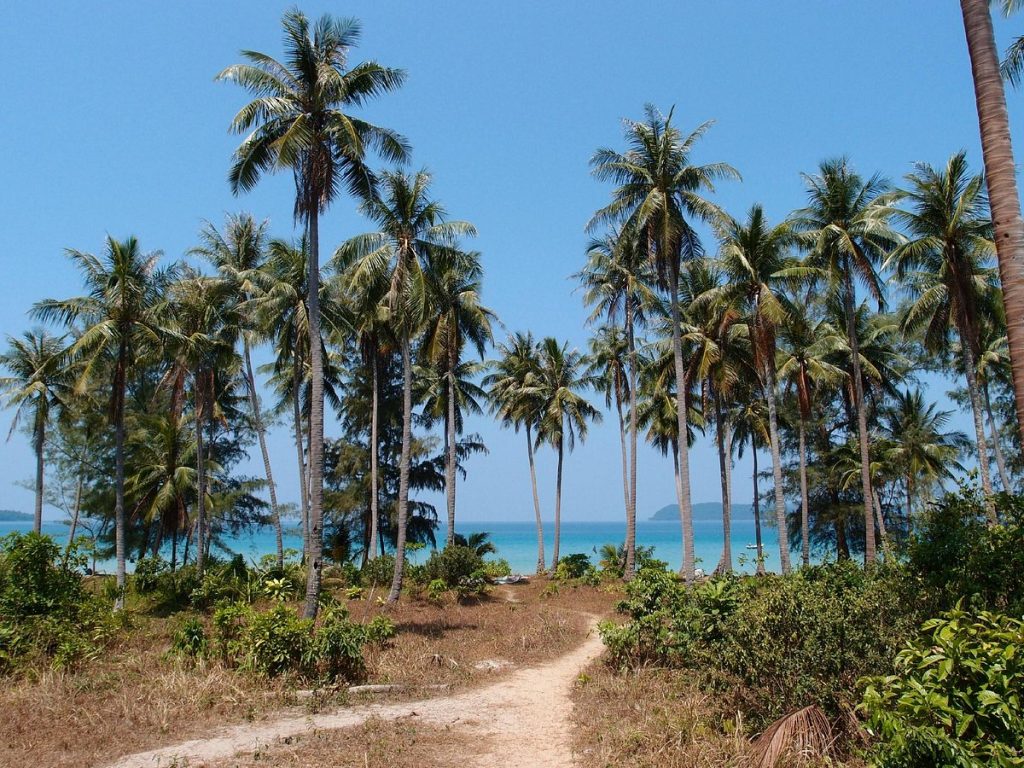 quang cảnh lonely beach resort nơi mình làm tình nguyện