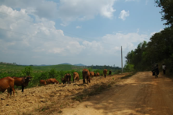 DSC_3893.jpg