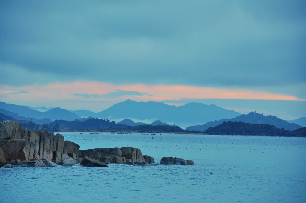 DSC_0844re.jpg