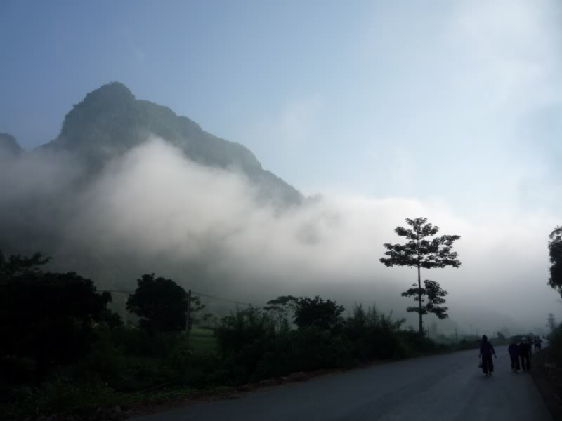 P1010795800x600.jpg