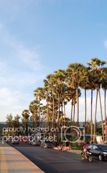DSC_6604_resize.jpg