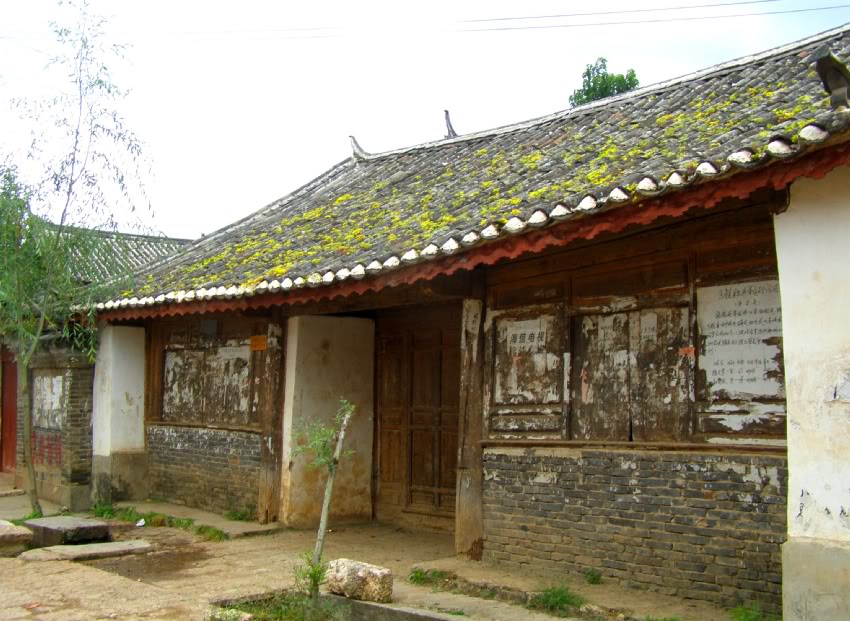 PA020574-1.jpg