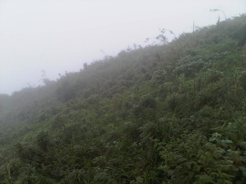 2011_574.jpg