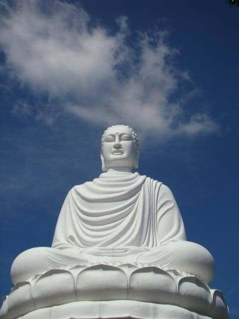 DSC00495.jpg