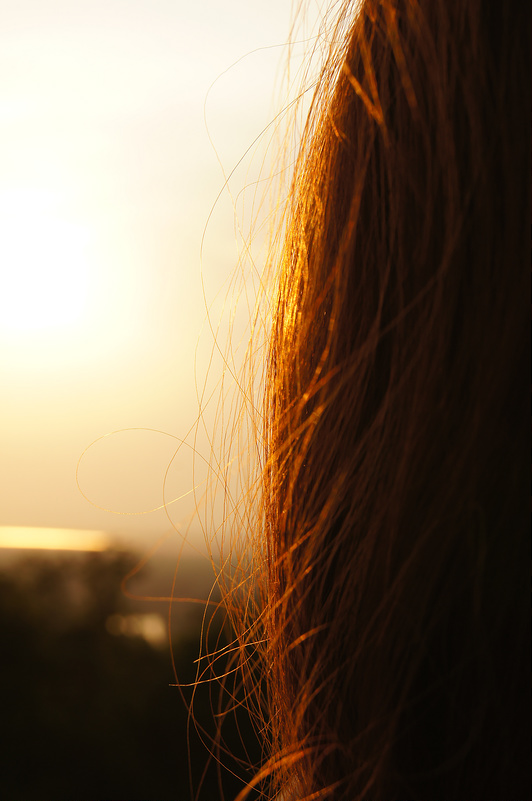 7001744696_4dff92220e_c.jpg