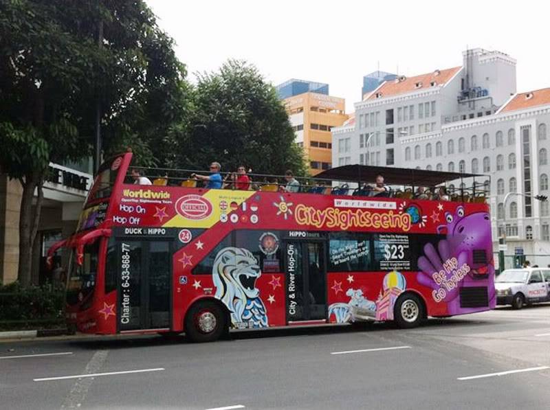 bus800.jpg