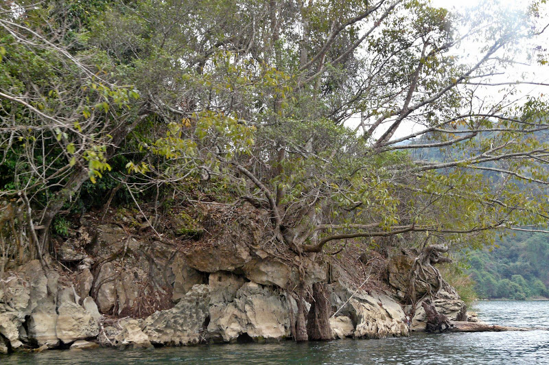 P1050634.JPG