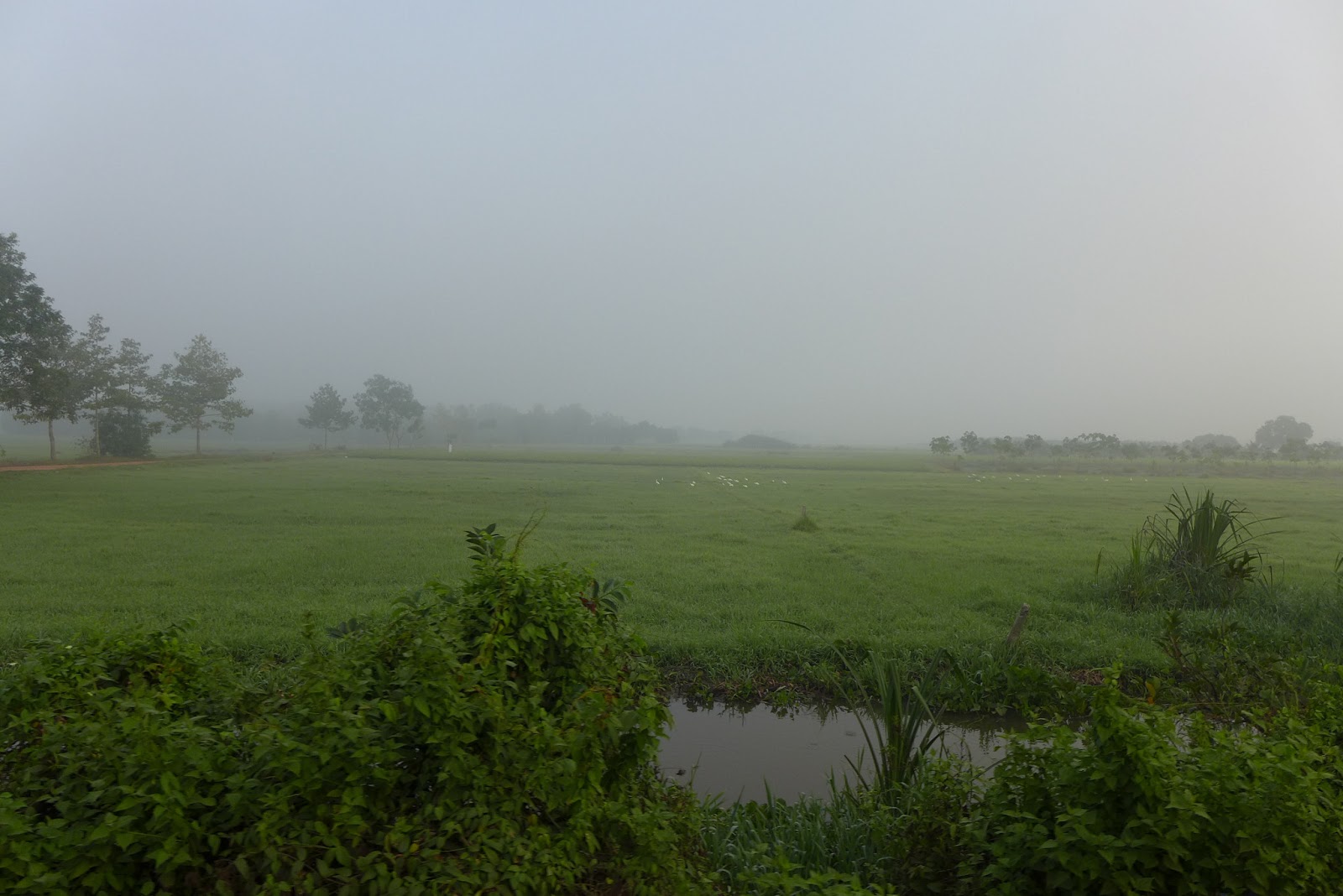 P1000527.JPG