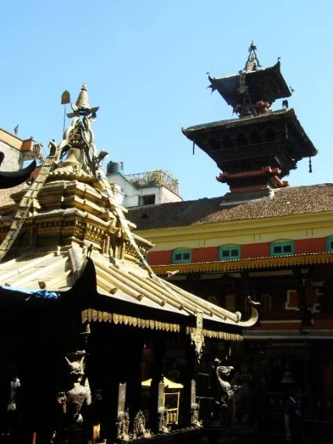 PA290139.jpg
