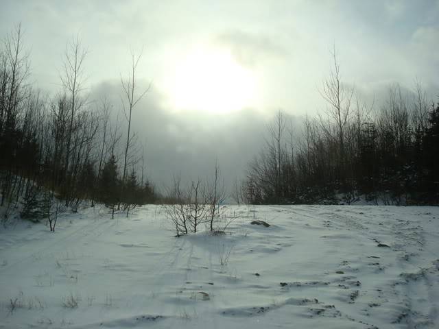 DSC06157.jpg